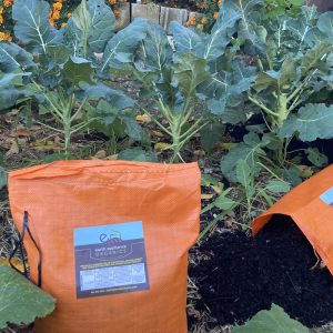 Premium Vermicompost (5.6 gallons)